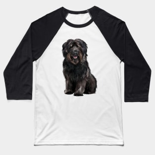 The Catalan Sheepdog Baseball T-Shirt